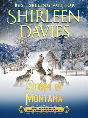 cover image of Storm in Montana